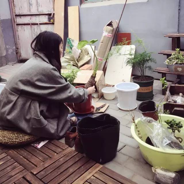 梦想改造家小户型,农村庭院改造效果图大全