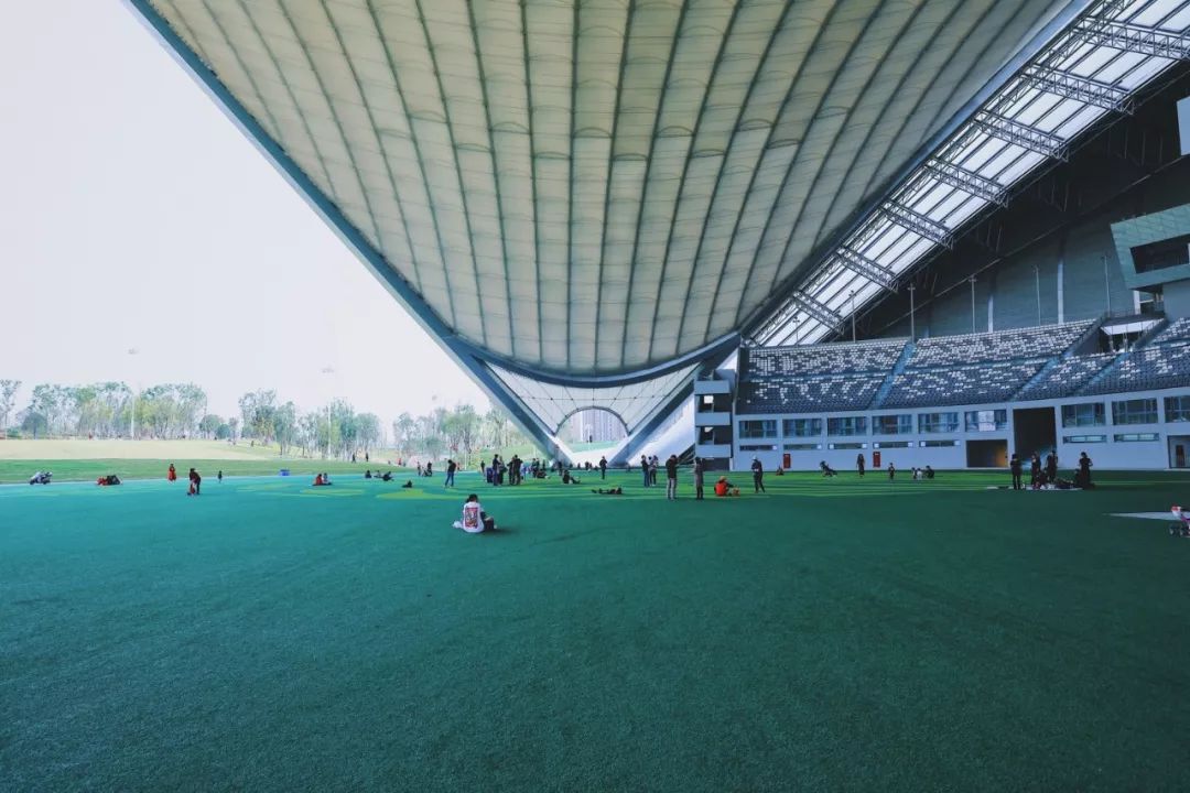 成都周末遛娃游推荐,遛狗公园成都