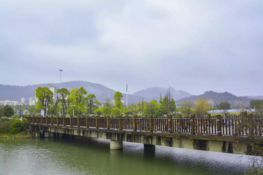 中南路事件,关于中南的那些事短剧