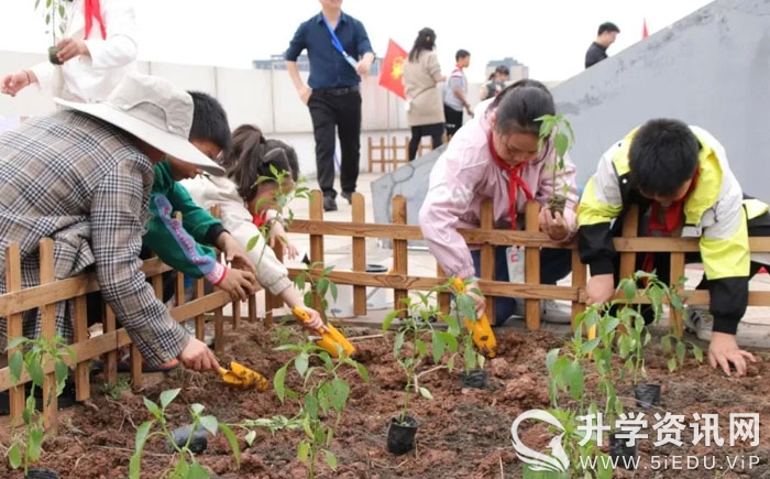 三岔河小学教师招聘,成都市东部新区教师公开招聘