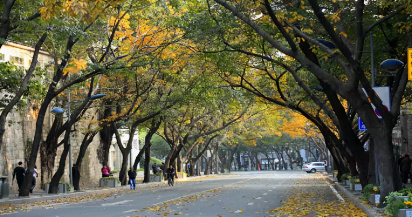 重庆哪所学校环境最好,重庆最美学校