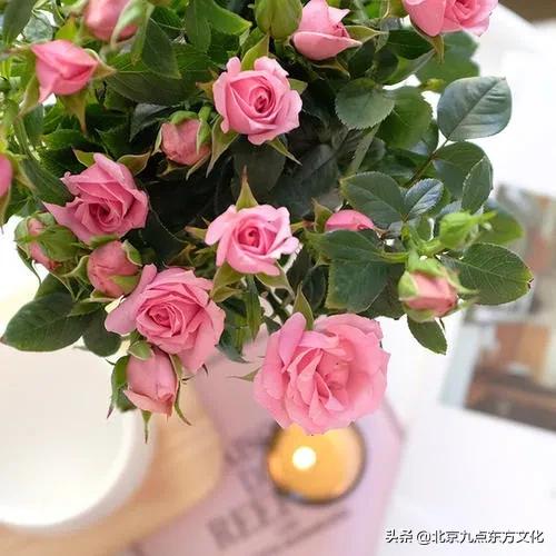 折花逢驿使寄与陇头人的意思,折花逢驿使寄与陇头人谁写的