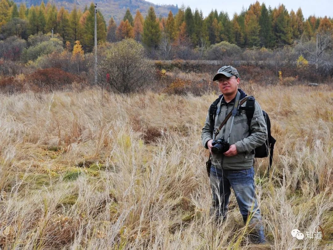 清淡晓凝霜，宜乎殿颢商。跪求“殿颢商”的解释？