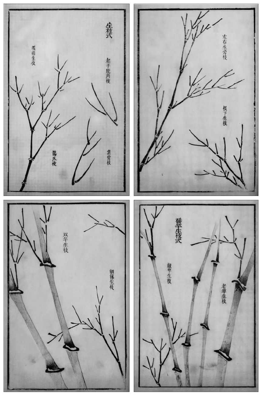 国画知识：竹子不会画？那是你没有学会画这些，学会画竹子很简单