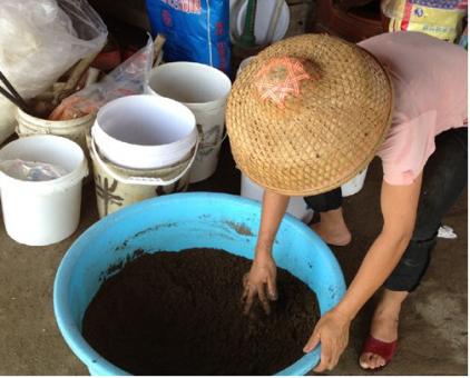 对对虾养殖的基本知识,对虾养殖新手该注意什么