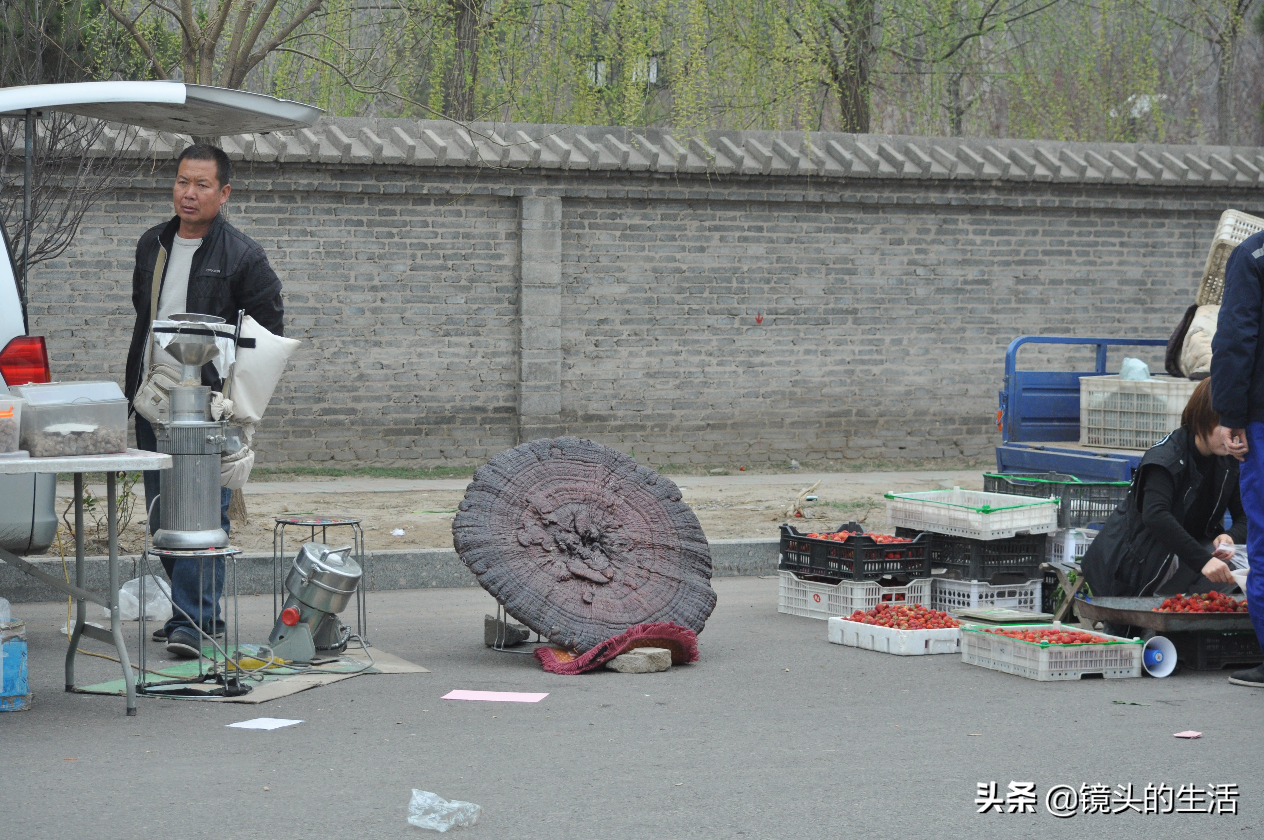 鍐滄潙灏忎紮鎵惧埌鐝嶈吹鑽潗浠锋牸涓嶈彶,澶у彅鎺忓嚭6鍧楀崠鑽潗鐨勯挶