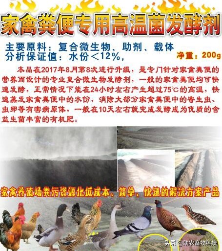 鸡鸭粪便自然发酵方法,湿鸡鸭粪怎样发酵有机肥