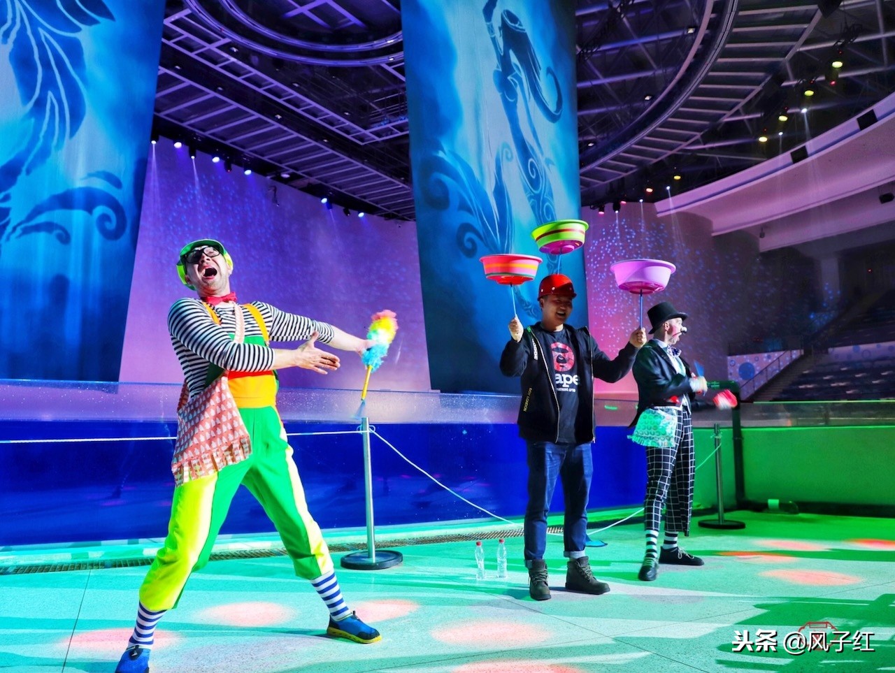 上海新地标丨海昌海洋公园一日游园玩法攻略