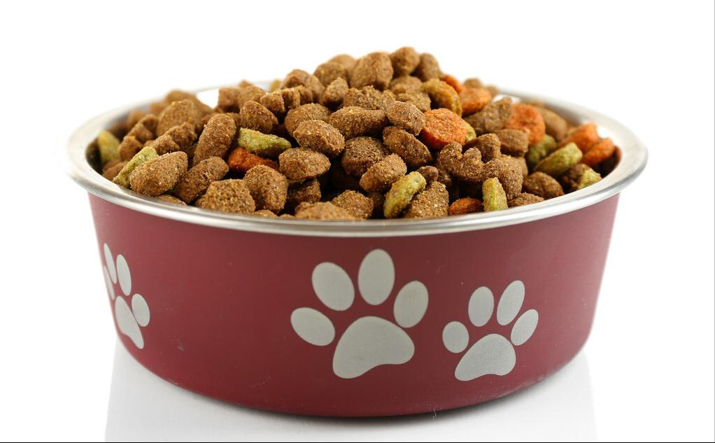 泰迪犬吃什么狗粮好,泰迪犬吃什么狗粮