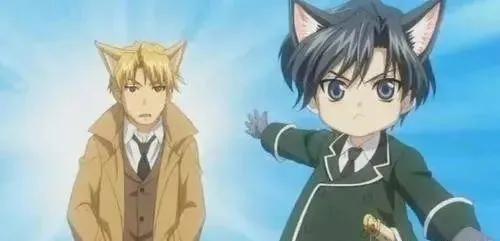 看了二十遍的腐影，这才叫真正的傲娇受与忠犬攻吧