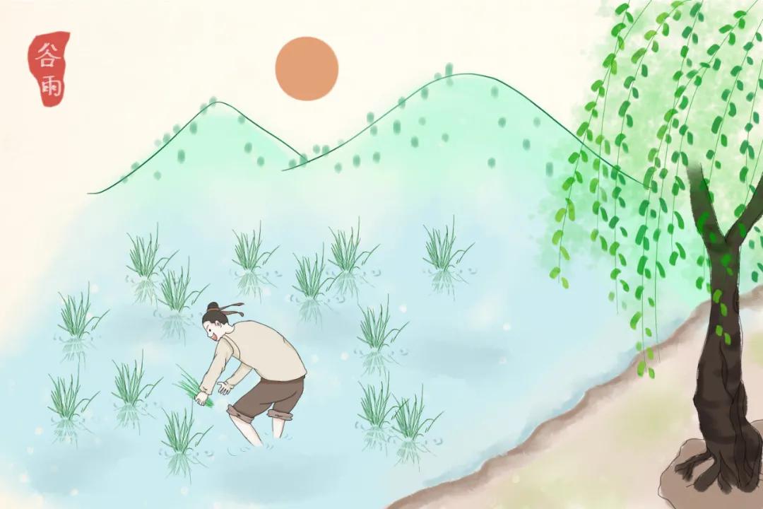 谷雨养肝祛湿正当时,春季养肝也要养胃饮食宜健脾养阳