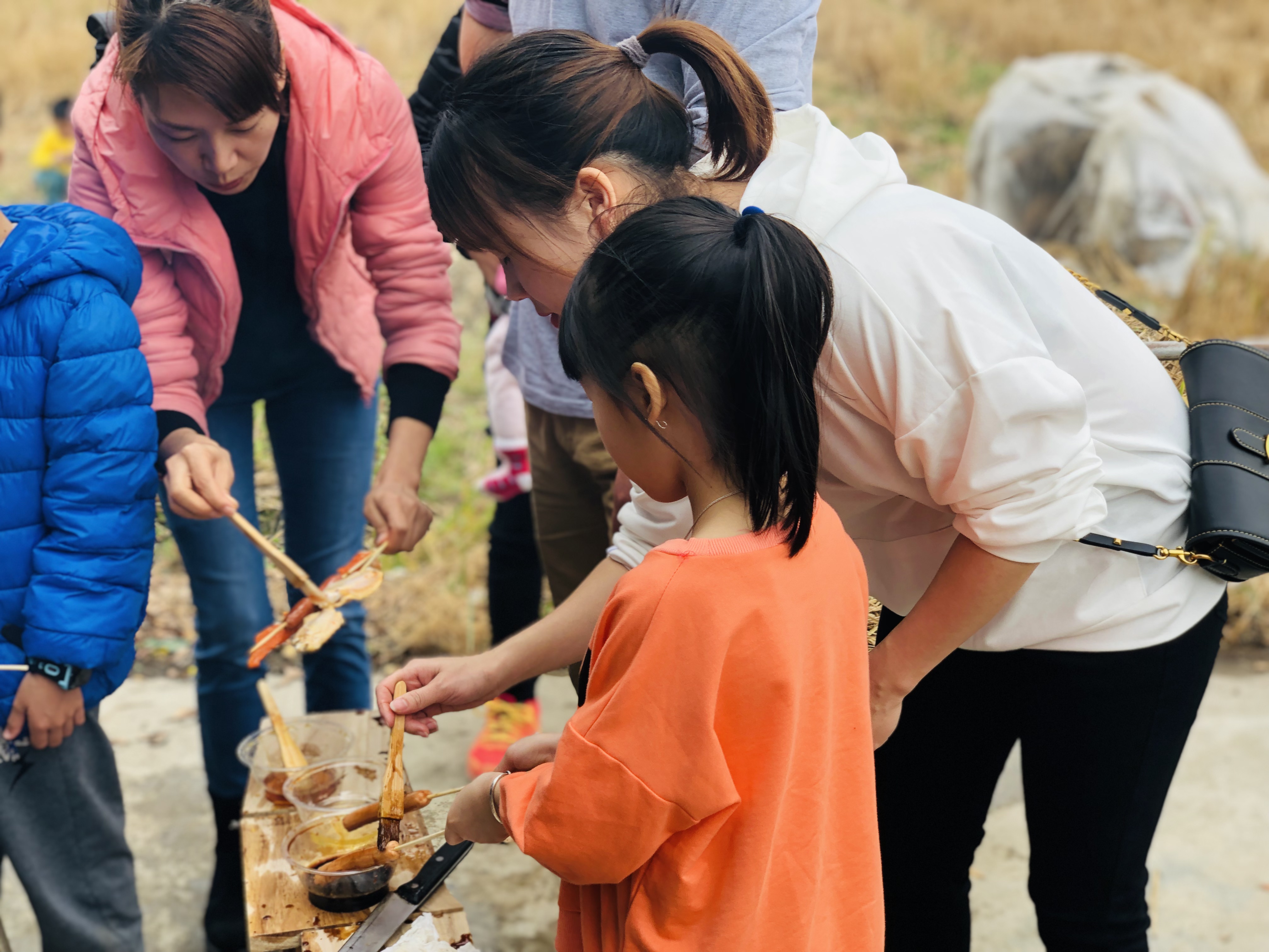 江门至道会跆拳道,开平苍龙跆拳道