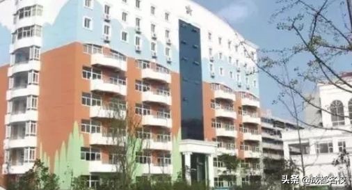 2020年成都私立小学排名,2020成都私立小学五朵金花