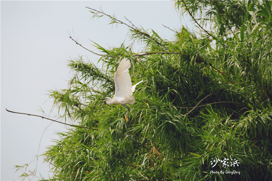 苏州红色革命旅游景点图片,苏州红色革命景点介绍视频