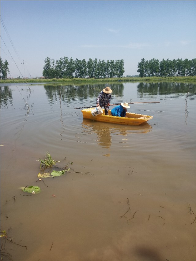 小龙虾怎么鲜活保湿,小龙虾怎么管理高产