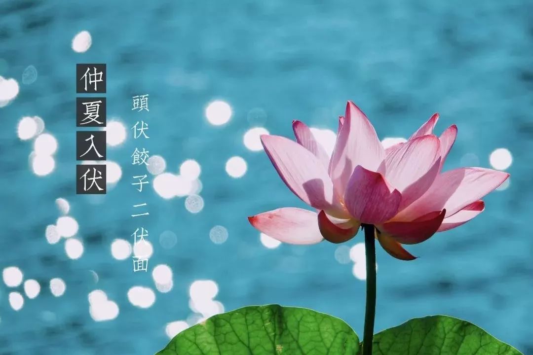 今日入伏三伏天如何防暑和养生,入伏第一天三伏天养生妙招