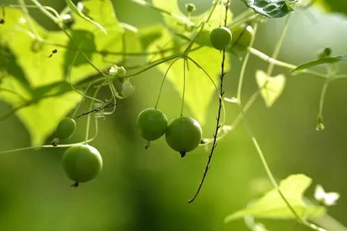 如何确定目标是自己想要的目标,确定了目标想做什么