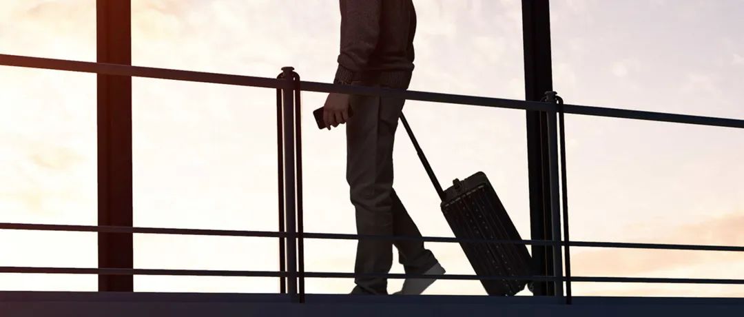 飞在天上的飞猪,天上掉下来的小飞猪