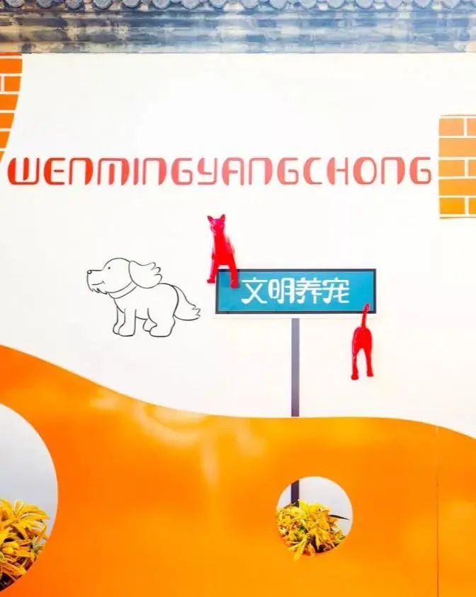 朝阳街巷遇见美好