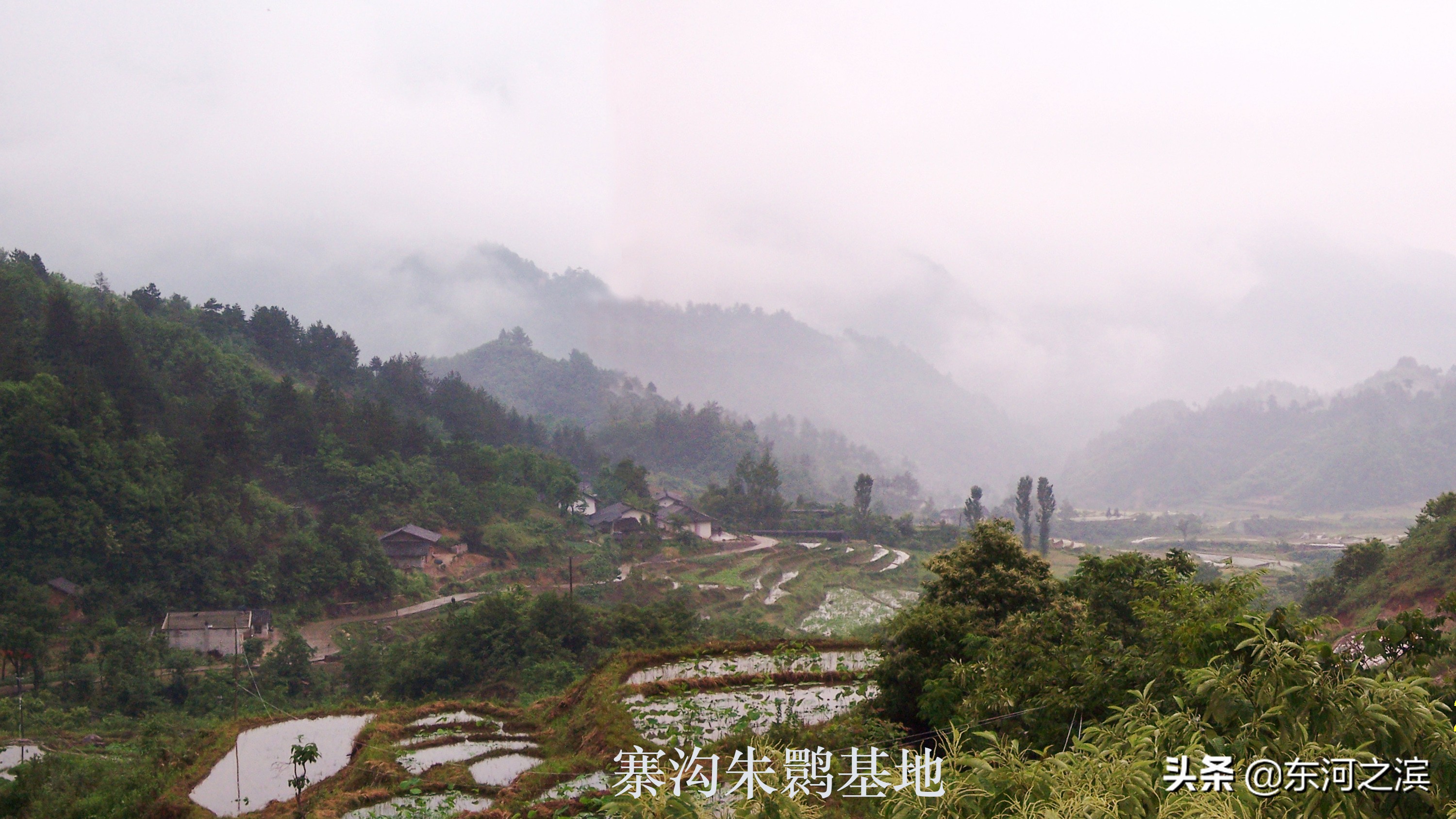 210国道秦岭沣峪口段好不好走,宁陕县自驾游翻越秦岭最佳路线图