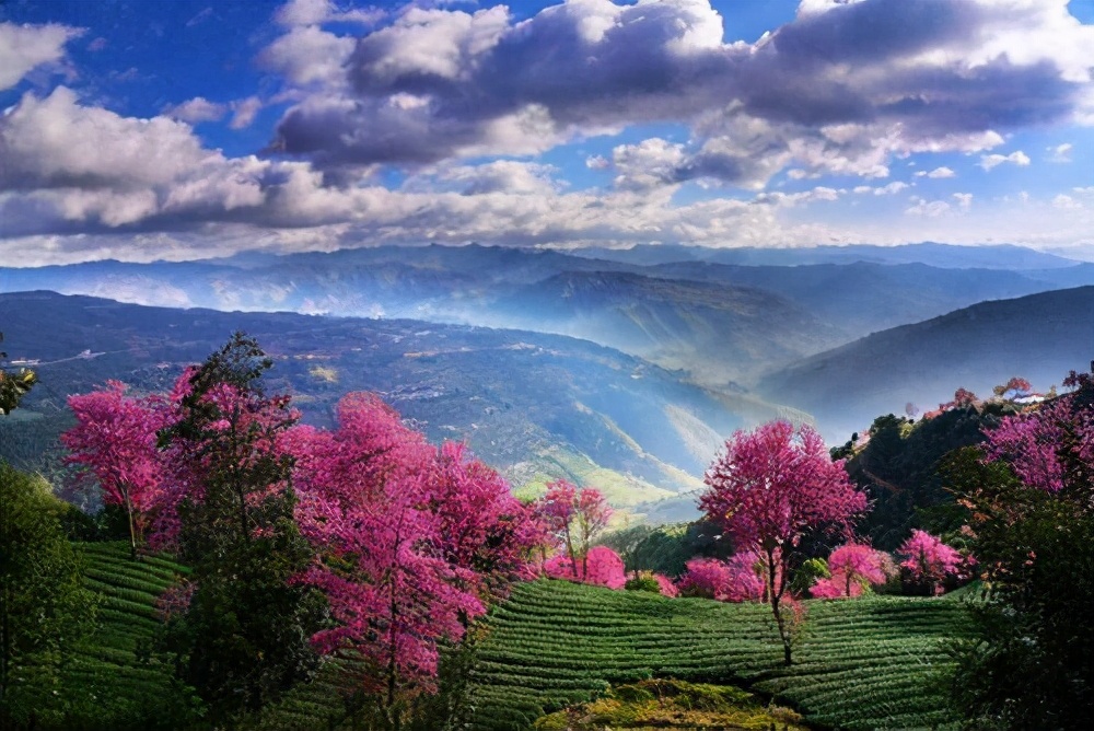 打动“音乐诗人”李健的高原湖泊,原来来这儿旅游如此休闲惬意