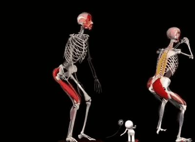 锻炼股腘肌用多少磅弹力带,跑步膝盖外侧髂胫束如何快速恢复