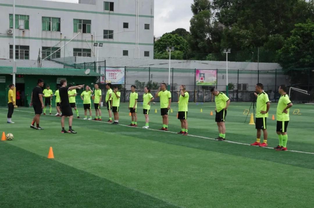 派迪茵体育股份有限公司,派迪茵体育有限公司
