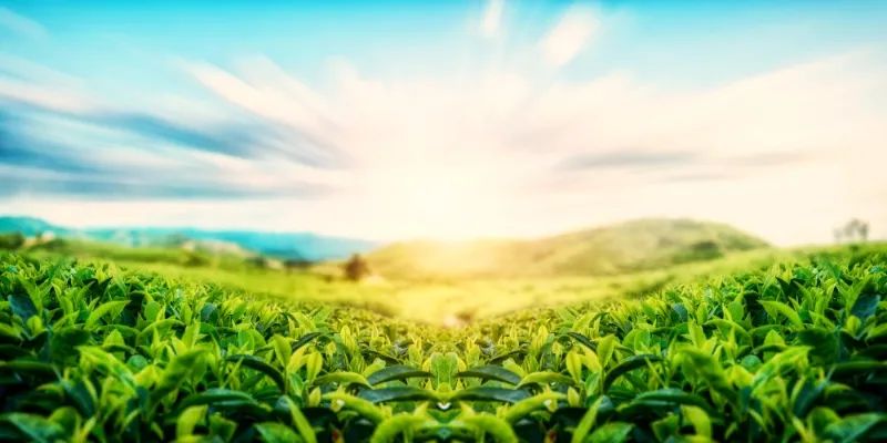 他们是大山深处真正的匠人，把生活过成了民谚