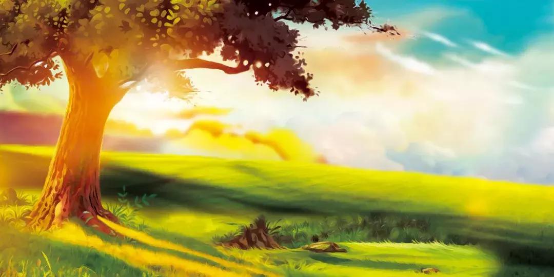 生命的动力源于希望和目标,生命的动力是哪个器官