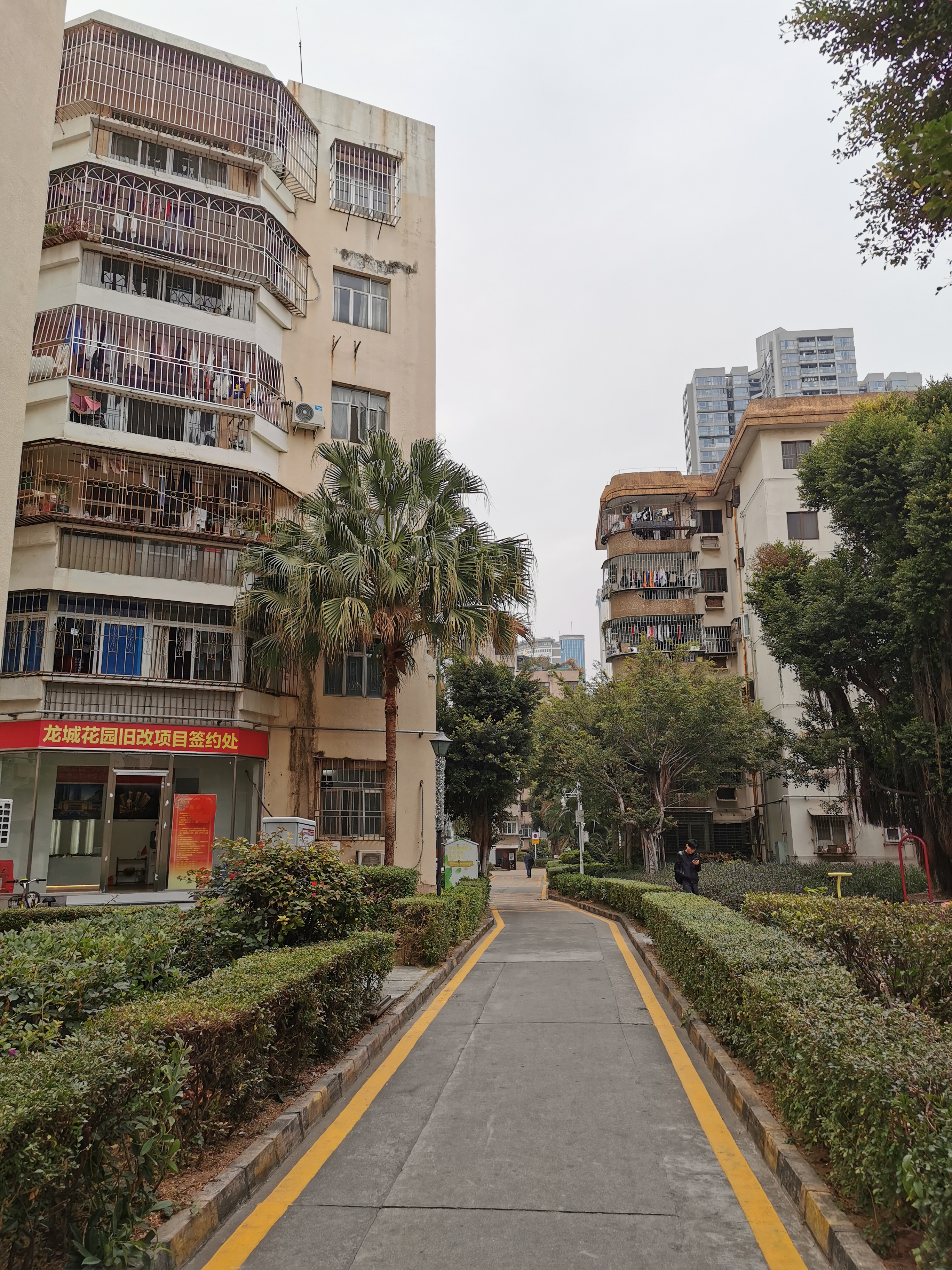 深圳龙城花园旧改,南山龙城花园旧改