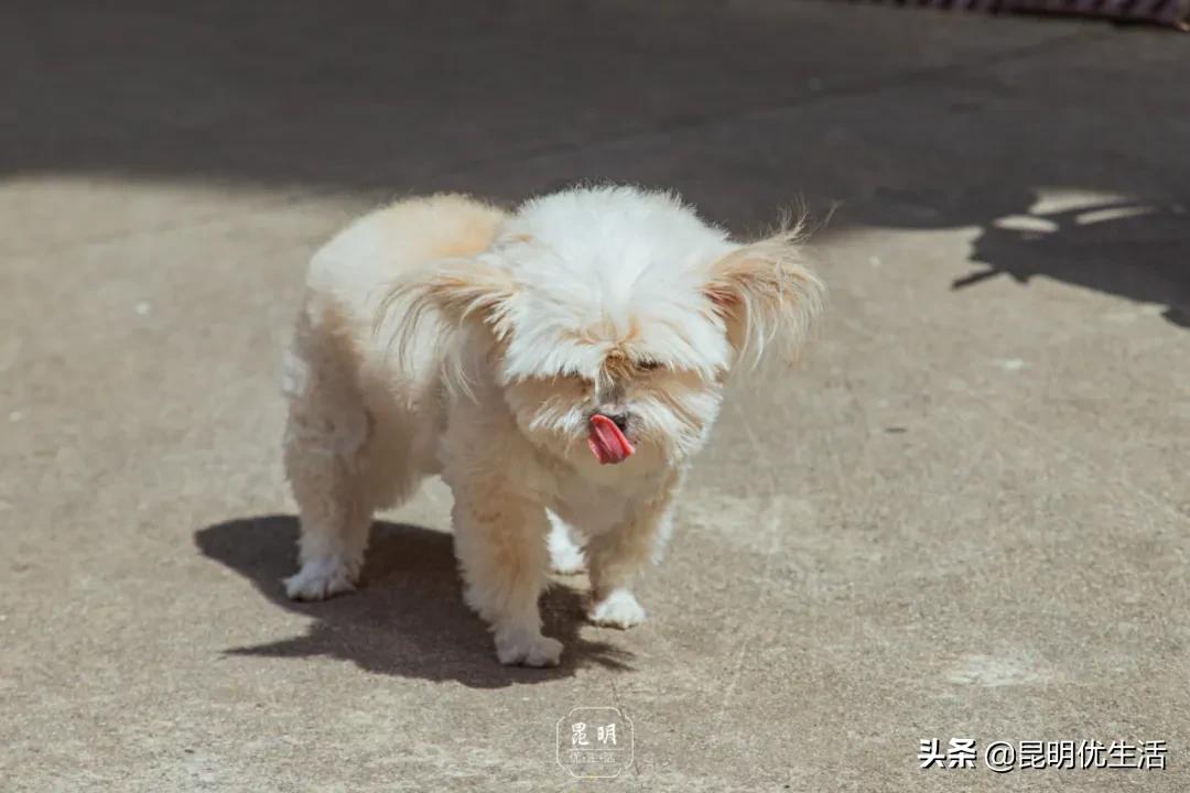 文化巷76号,文化巷古着