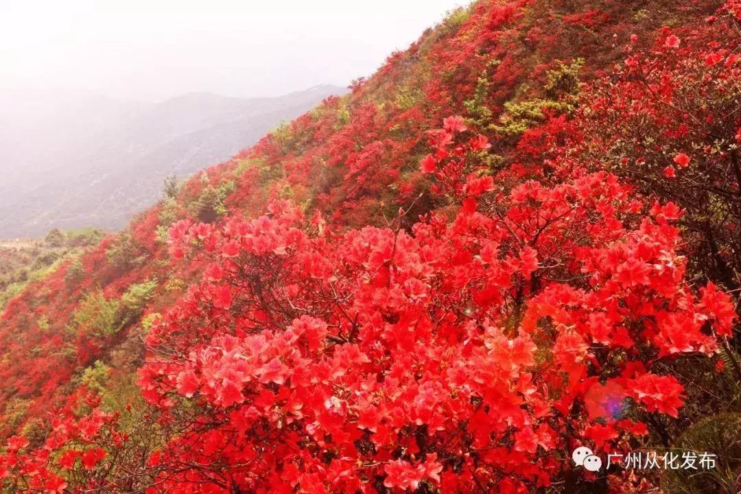 中国天堂般的6大徒步旅游胜地,广州最值得去徒步的山峰