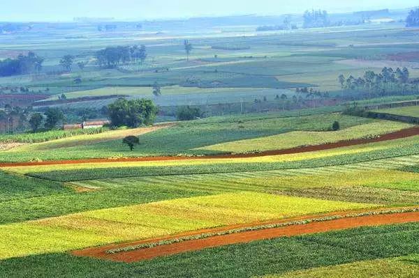 五一节国外旅游推荐地方,五一假期适合去哪里旅游国外