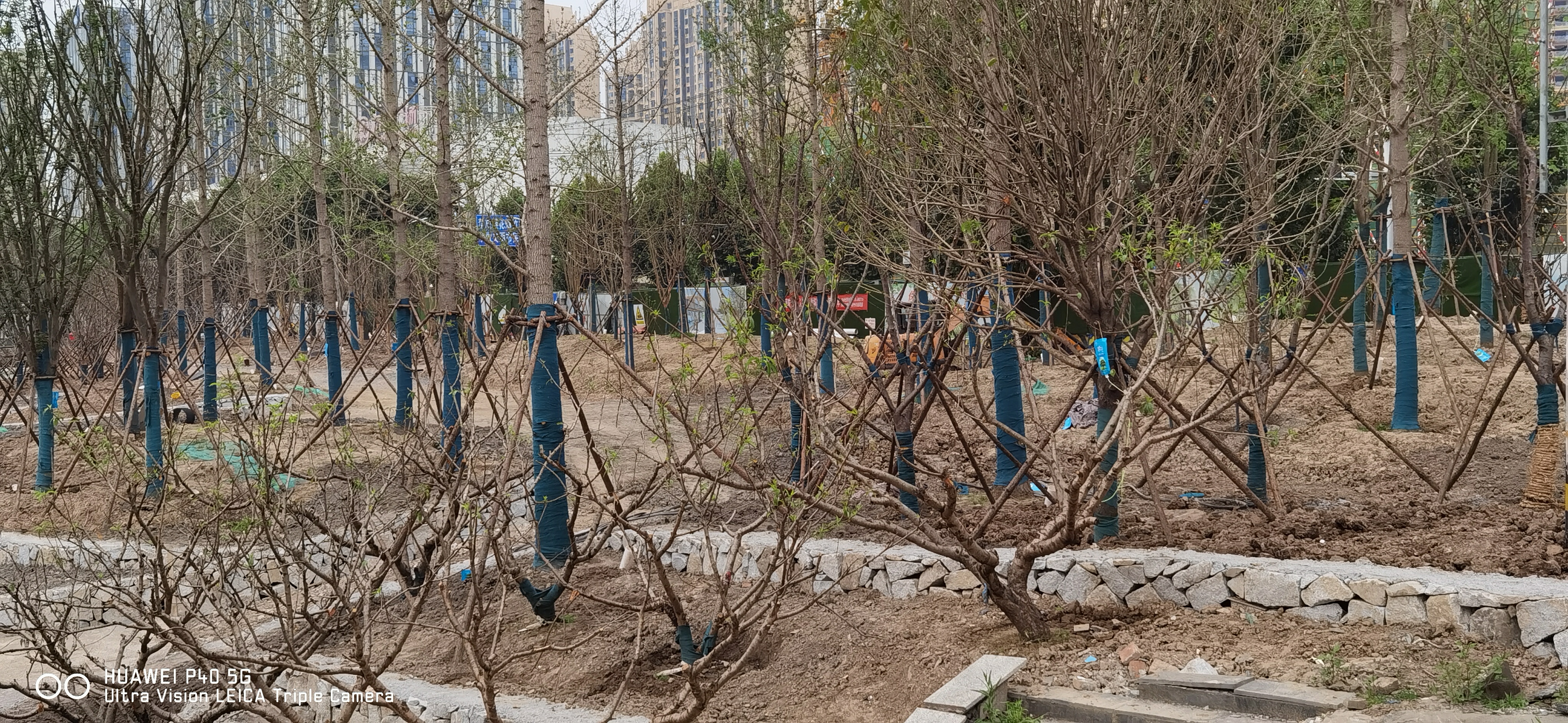 荆州万达广场对面规划什么小区,荆州万达城周边规划