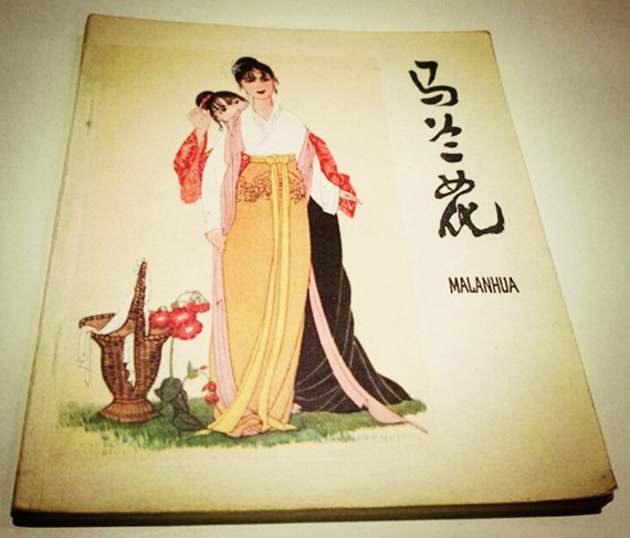 回忆童年马兰花,童年记忆里的马兰花