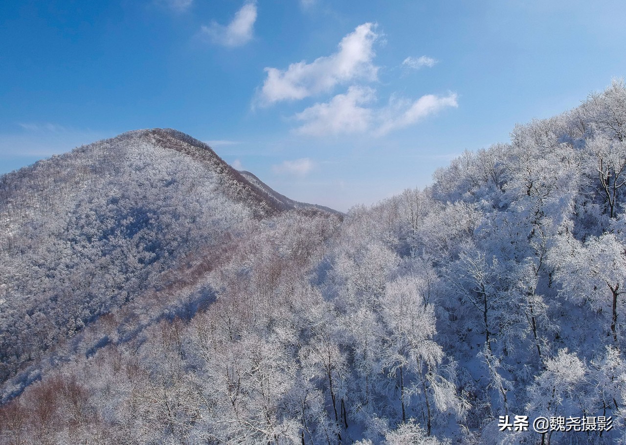 雪+雾凇+侧金盏+款冬=一次完美寻花之旅