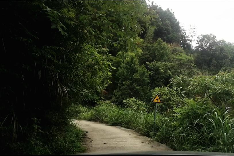皖南川藏线惊险段视频,皖南川藏线惊险路段
