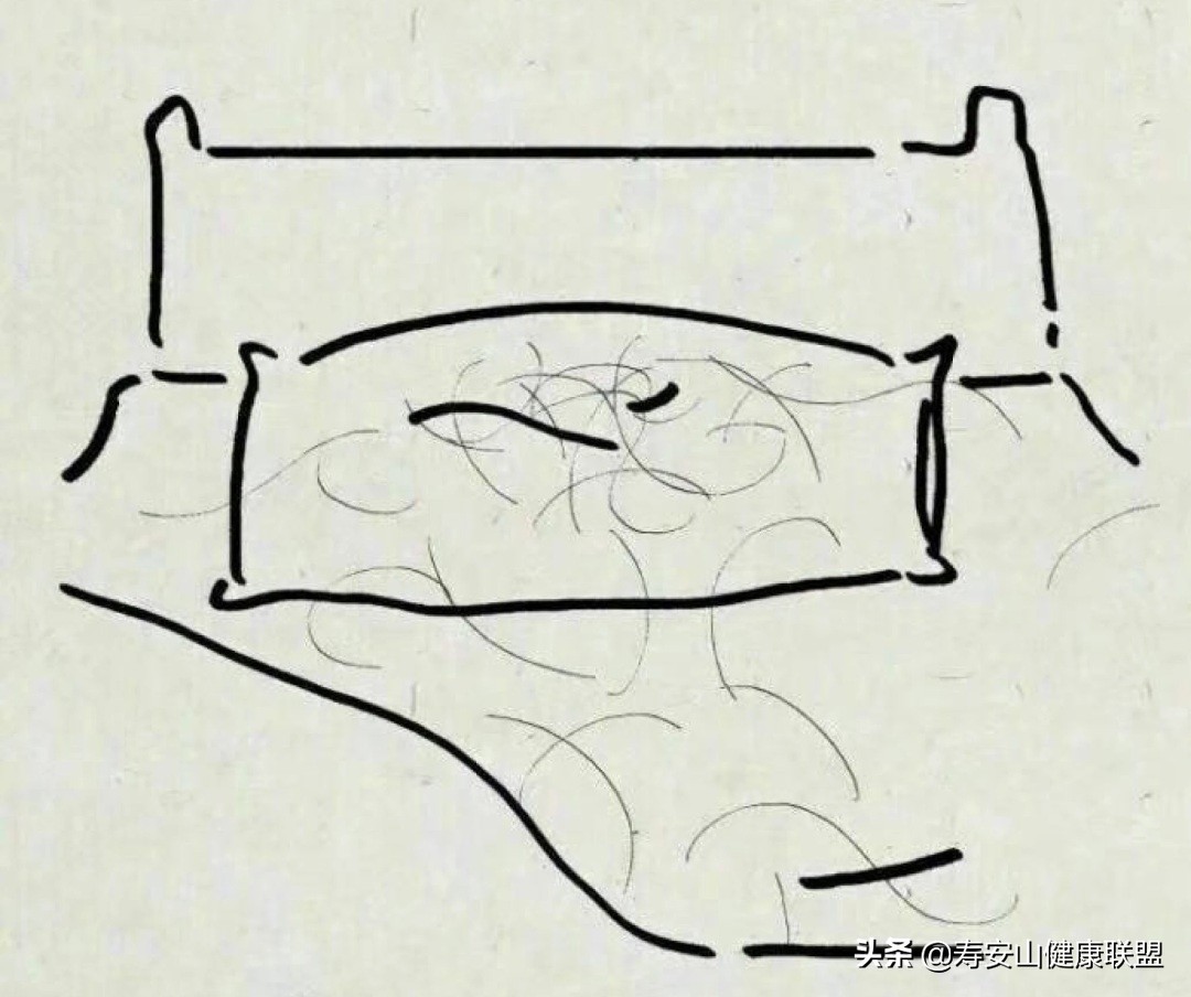 脱发断发方法,脱发掉发的福音