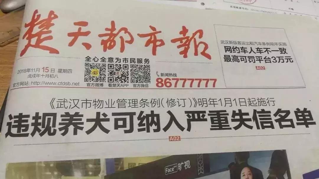 武汉禁狗令哪些品种,武汉养狗办证要在哪里办