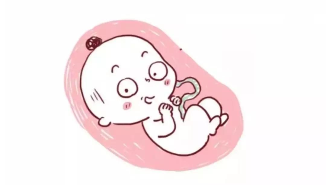 B超单上显示这四个大字,恭喜你,已拿到顺产“通行证”