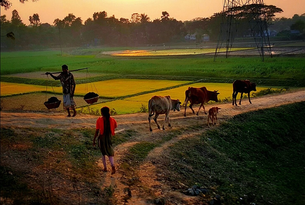 为什么地处南亚的孟加拉国，是世界上“洪涝灾害”最严重的国家？