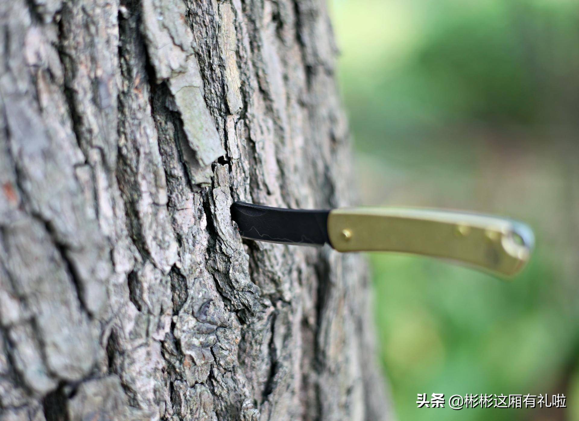 那时时光,那时时光完整版