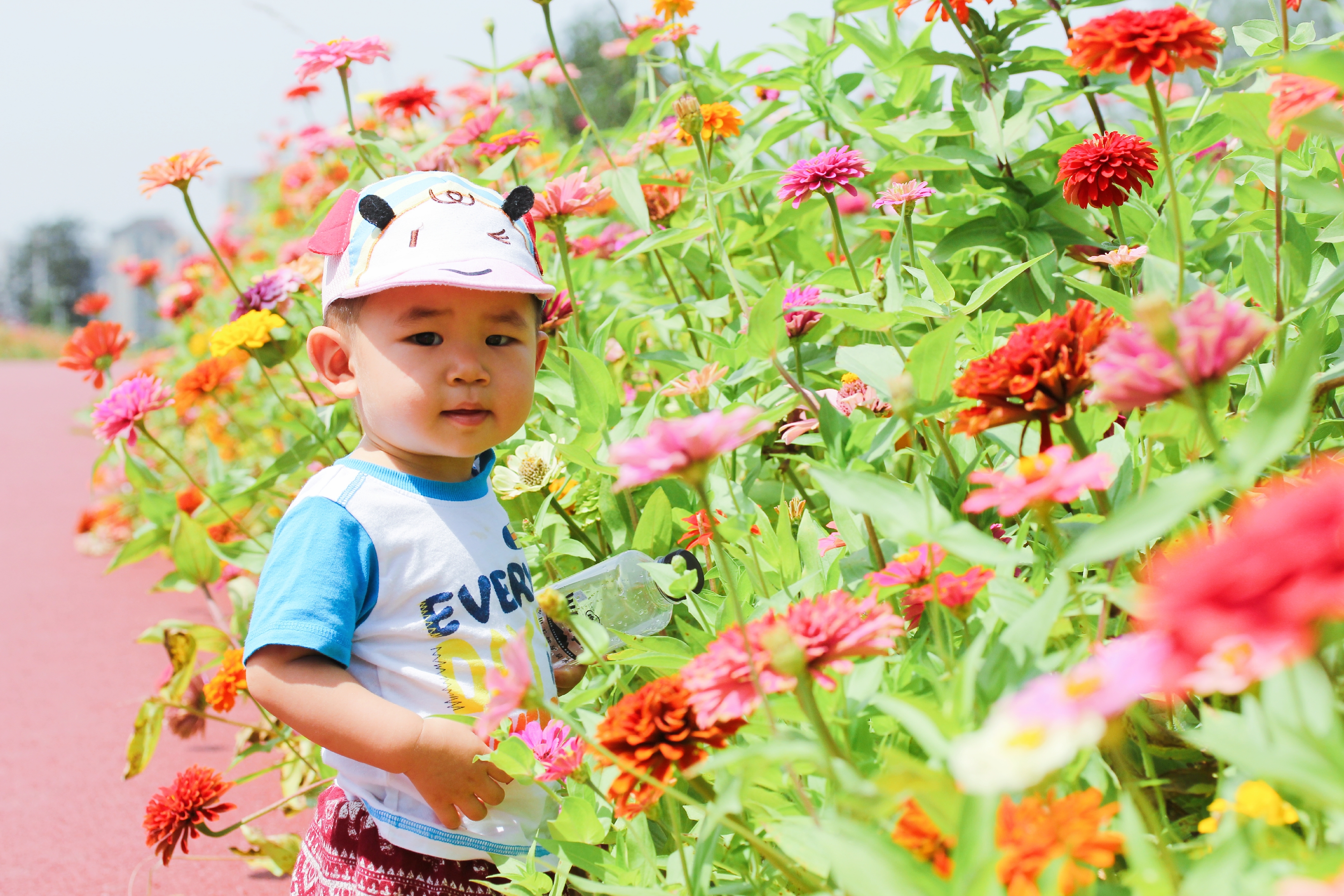 北京有哪些公园有足球场,北京超大绝美花海在哪儿