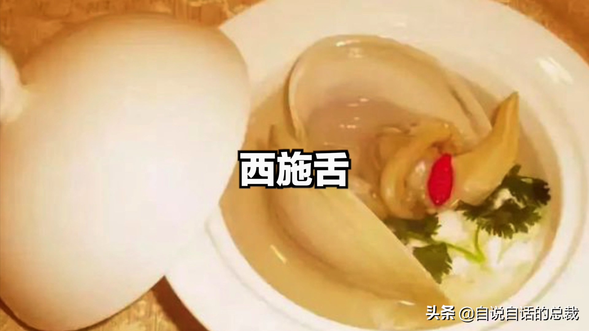 蛏子与小人蚬的区别,贻贝蛤蜊有什么区别