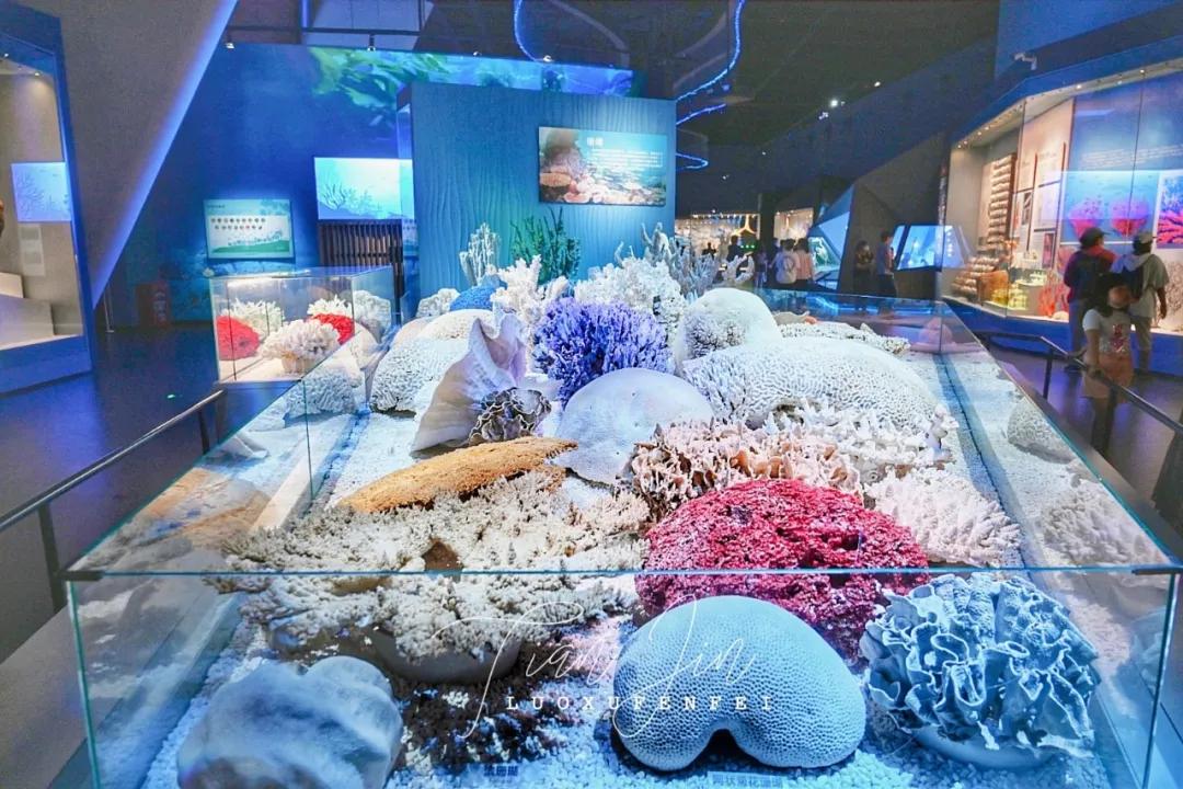 滨海新区海洋博物馆怎样预约,天津滨海亲子游最佳地点