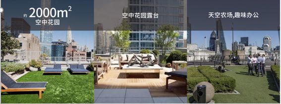 坪山发展潜力分析,坪山国家高新区