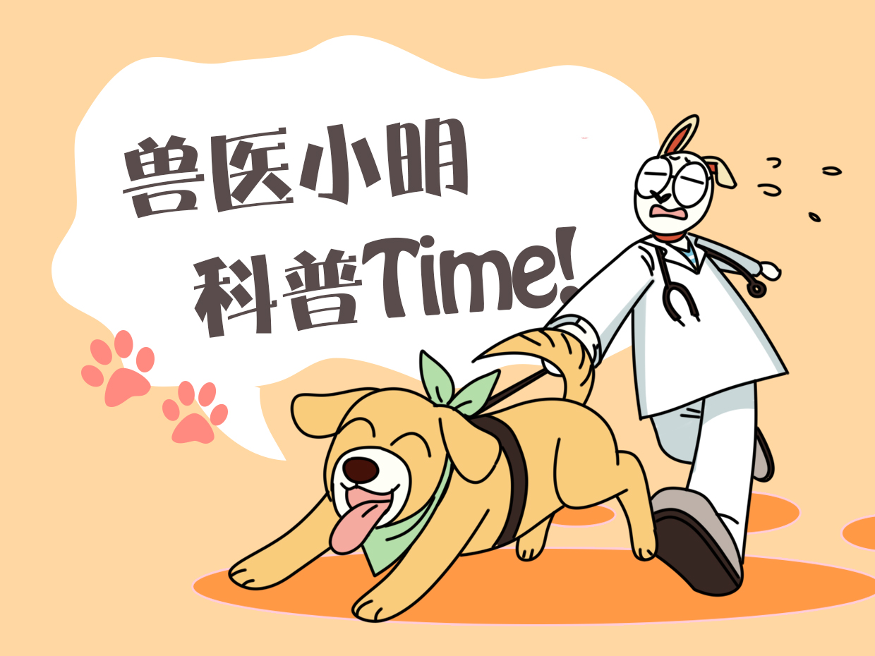 单身乌龟下了3个蛋，主人却满脸问号：这能生出幼崽吗？