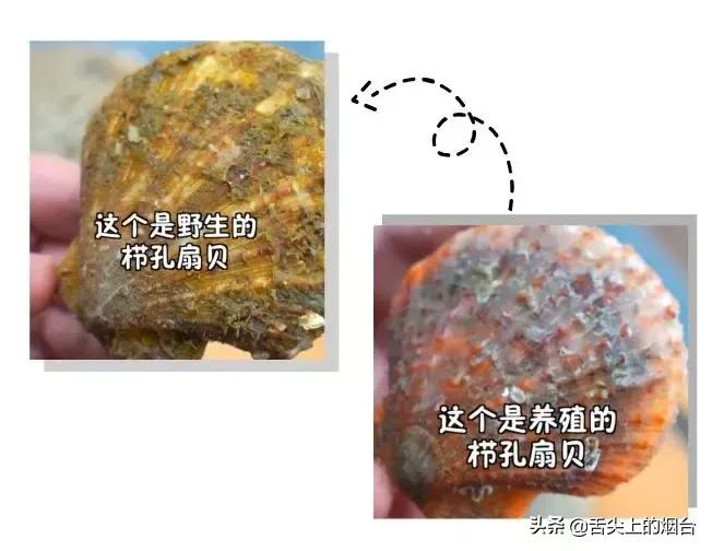 烟台海鲜小杂鱼批发,烟台海鲜自提