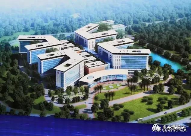 光谷中心医院规划,光谷即将开建的医院