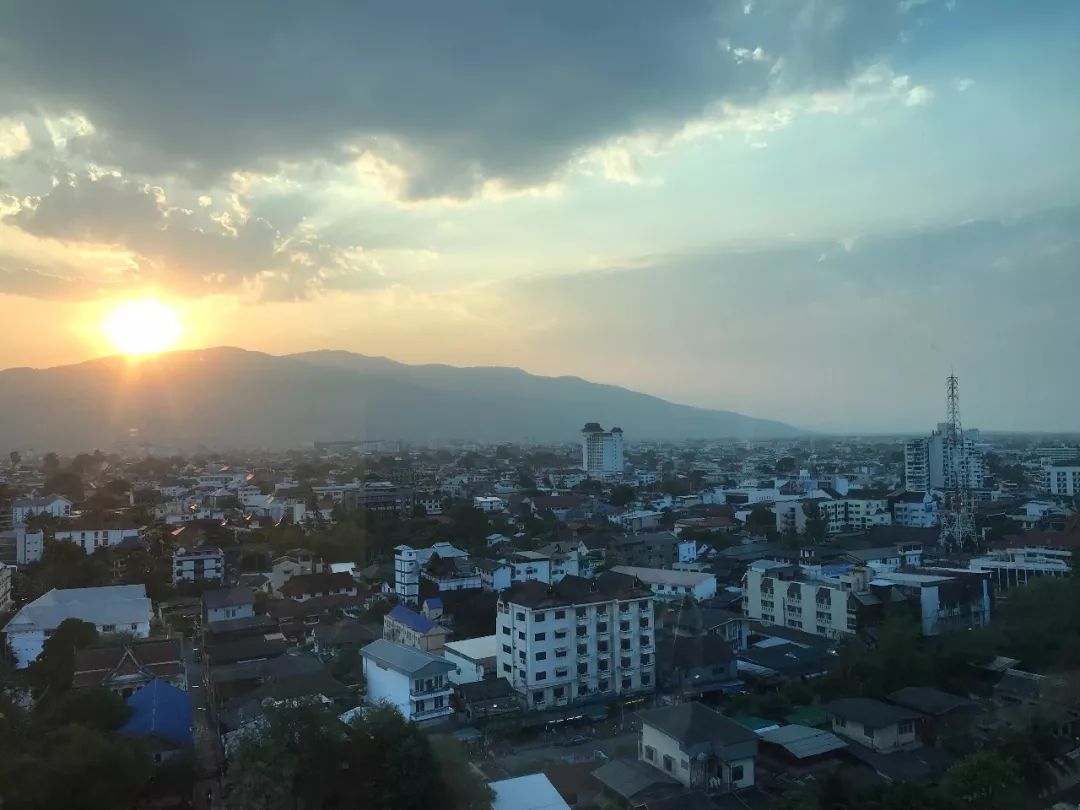 泰国清迈特产水果,泰国清迈的玫瑰